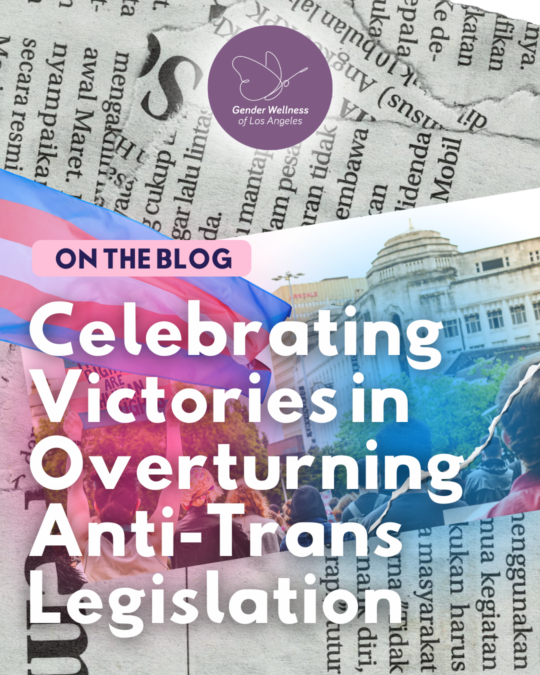 Celebrating Victories Overturning Anti-Trans Legislation