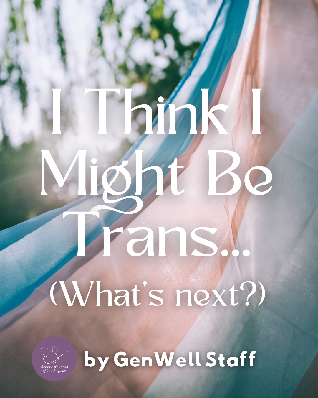 I Think I Might Be Trans Blog Post